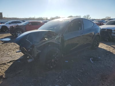 2020 Tesla Model Y