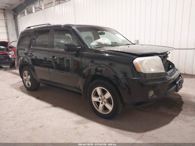 2011 Honda Pilot