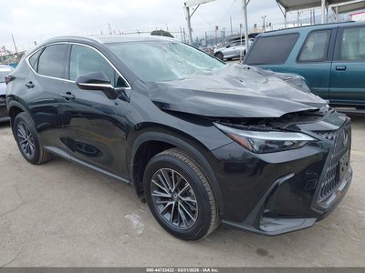 2025 Lexus NX