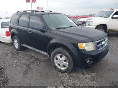 2010 Ford Escape