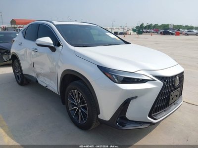2025 Lexus NX
