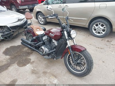 2022 Indian Scout