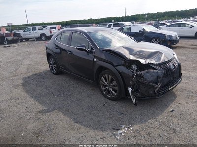 2019 Lexus UX 250h