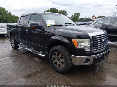 2010 Ford F-150