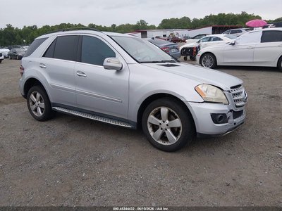 2010 Mercedes-Benz ML 350