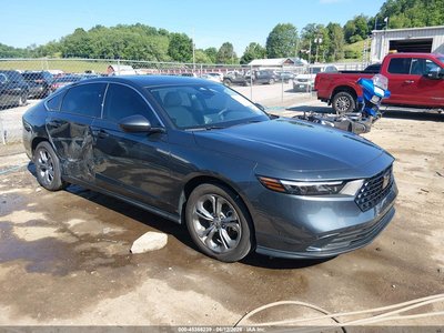 2024 Honda Accord