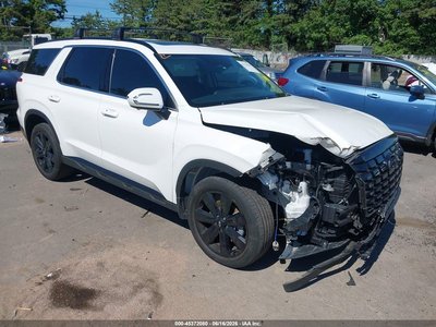 2025 Hyundai Palisade