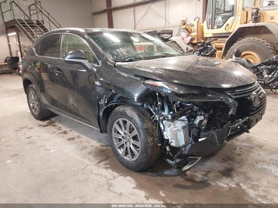 2019 Lexus NX