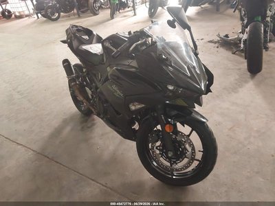 2024 Kawasaki Ninja 500