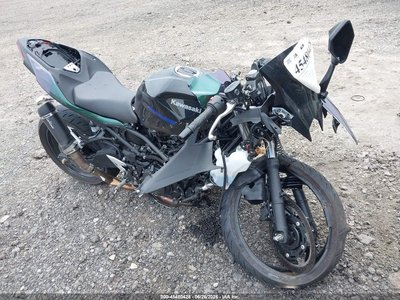 2025 Kawasaki EX500