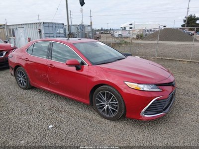 2024 Toyota Camry Hybrid