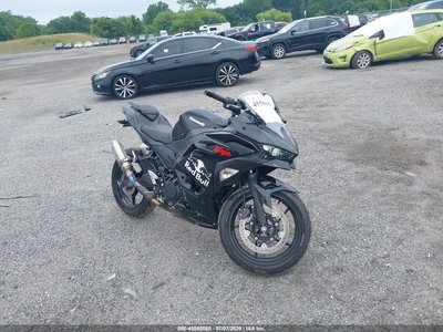 2024 Kawasaki Ninja 500