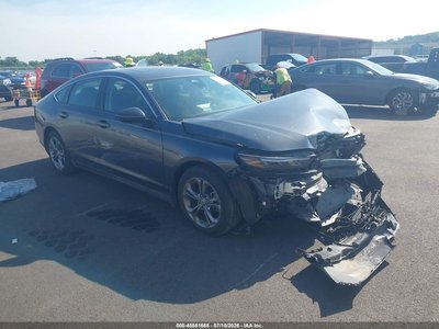 2024 Honda Accord