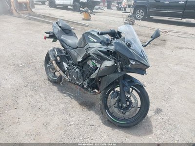 2024 Kawasaki Ninja 500