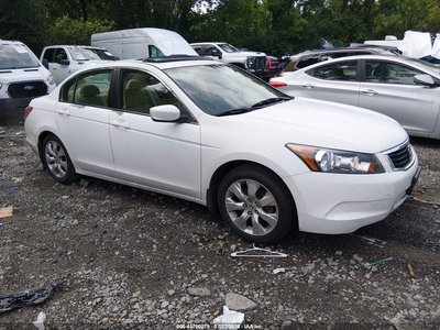 2010 Honda Accord