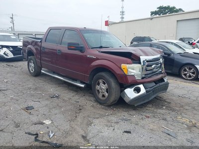 2010 Ford F-150
