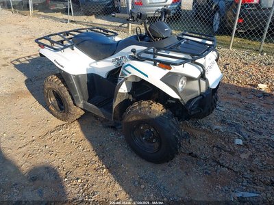 2022 Kawasaki Brute Force 300