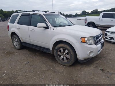 2010 Ford Escape