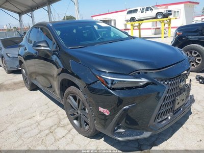2025 Lexus NX