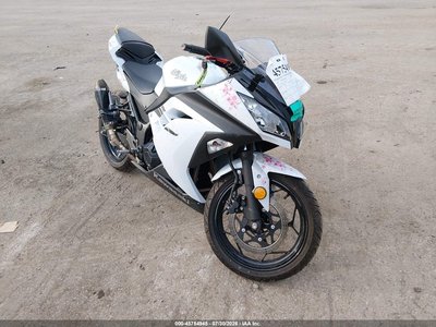 2017 Kawasaki Ninja 300