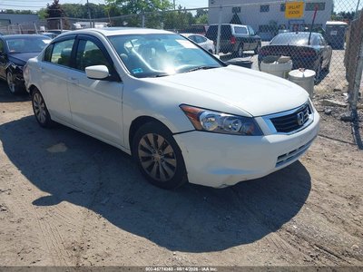 2010 Honda Accord