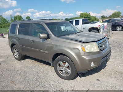 2011 Honda Pilot
