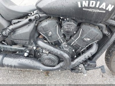 2025 Indian Scout