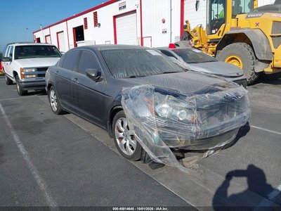 2010 Honda Accord