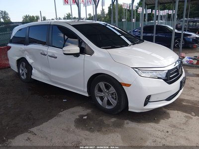 2023 Honda Odyssey