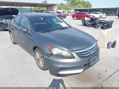 2011 Honda Accord