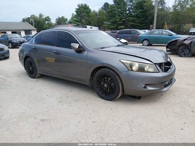 2010 Honda Accord