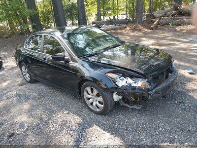 2010 Honda Accord
