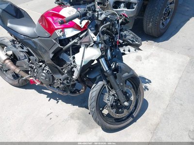 2024 Kawasaki Ninja 500