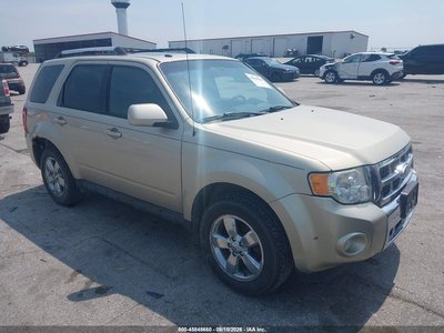 2011 Ford Escape