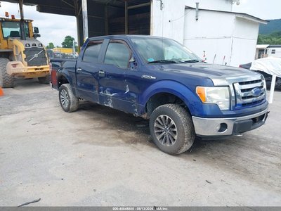 2009 Ford F-150
