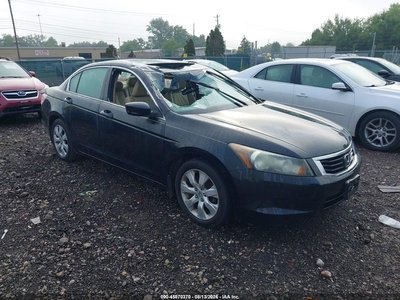 2010 Honda Accord