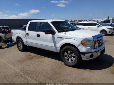 2010 Ford F-150