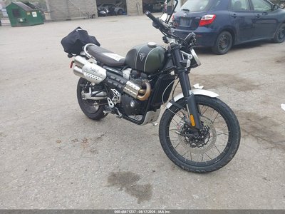 2023 Triumph Scrambler