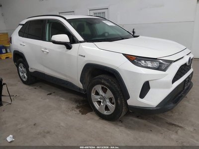 2019 Toyota RAV4 Hybrid