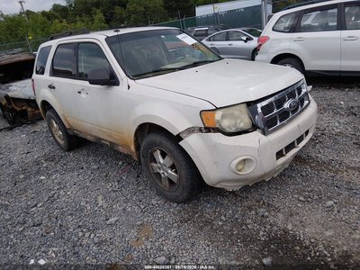 2010 Ford Escape