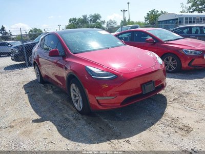 2020 Tesla Model Y