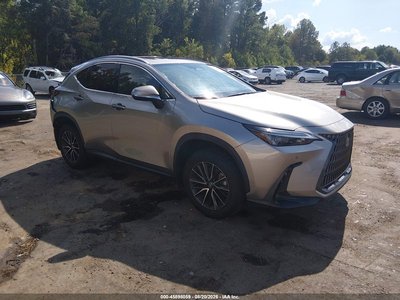 2024 Lexus NX 350