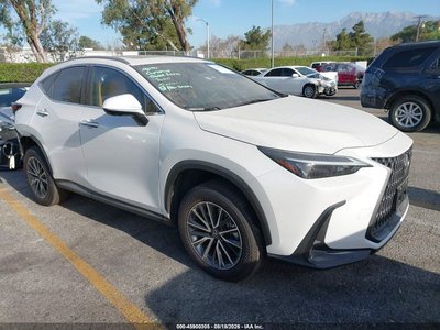2025 Lexus NX