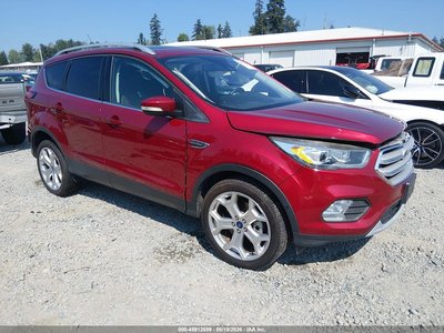 2019 Ford Escape