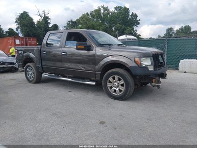 2009 Ford F-150
