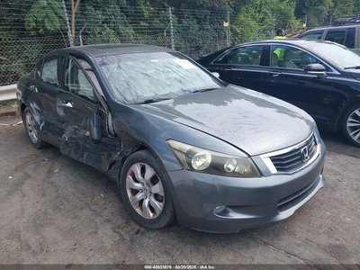 2010 Honda Accord