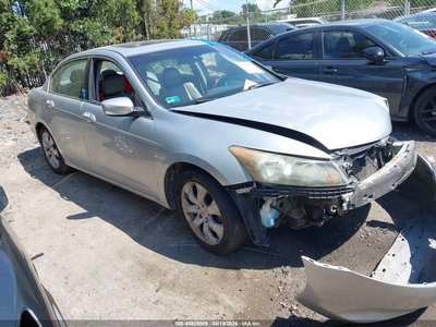 2010 Honda Accord