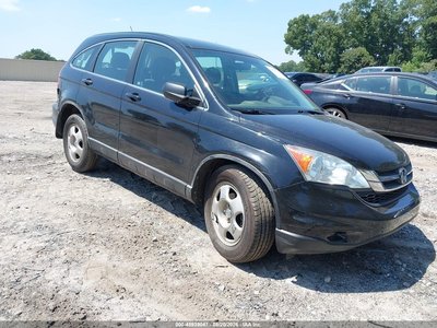 2010 Honda CR-V