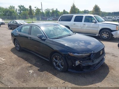 2024 Honda Accord