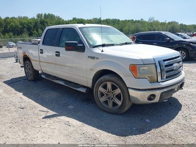 2009 Ford F-150